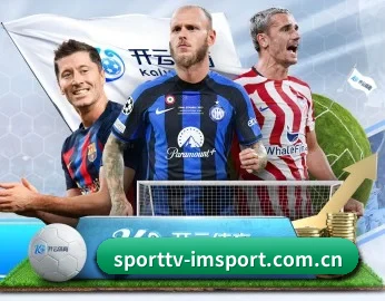 sporttv-imsport.com.cn的故事